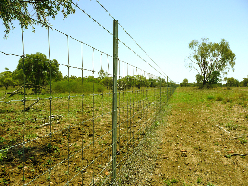 Fence
